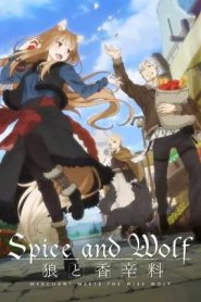 Ookami to Koushinryou - Merchant Meets the Wise Wolf